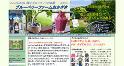 Desktop Screenshot of blueberryokazaki.com