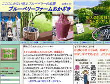 Tablet Screenshot of blueberryokazaki.com